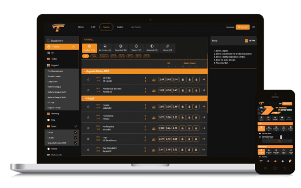 sportsbook software development company